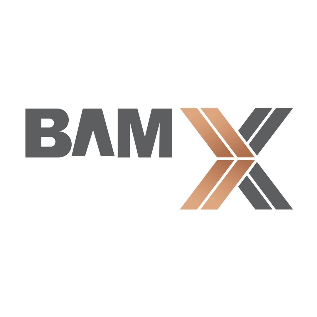 BAMX Development