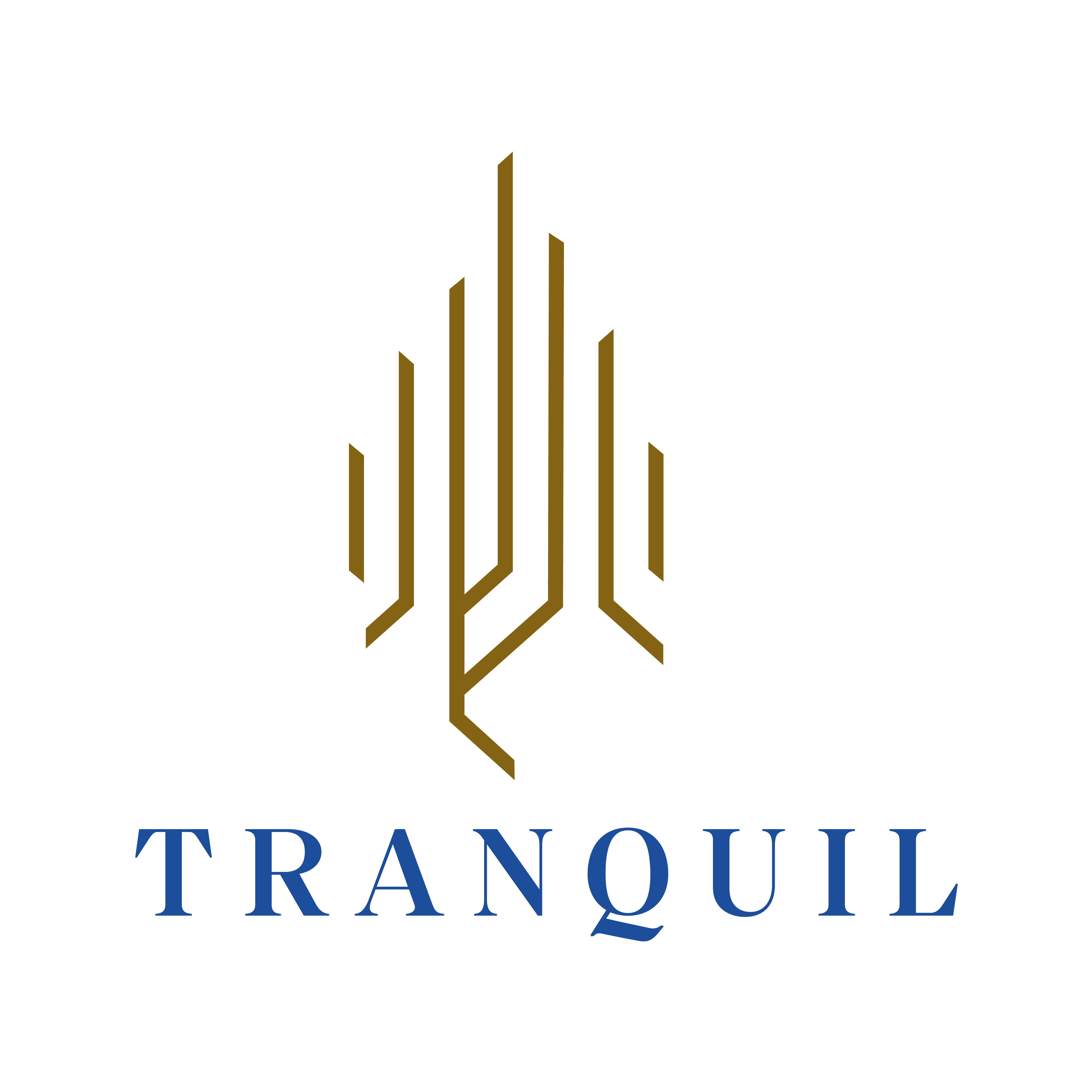 Tranquil Infra Developers