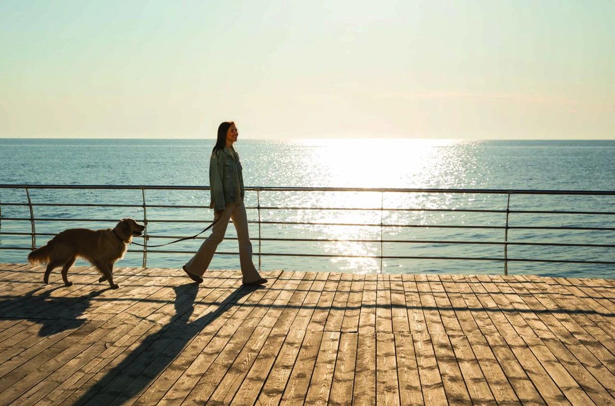 Canterbury Waterfront By GFS