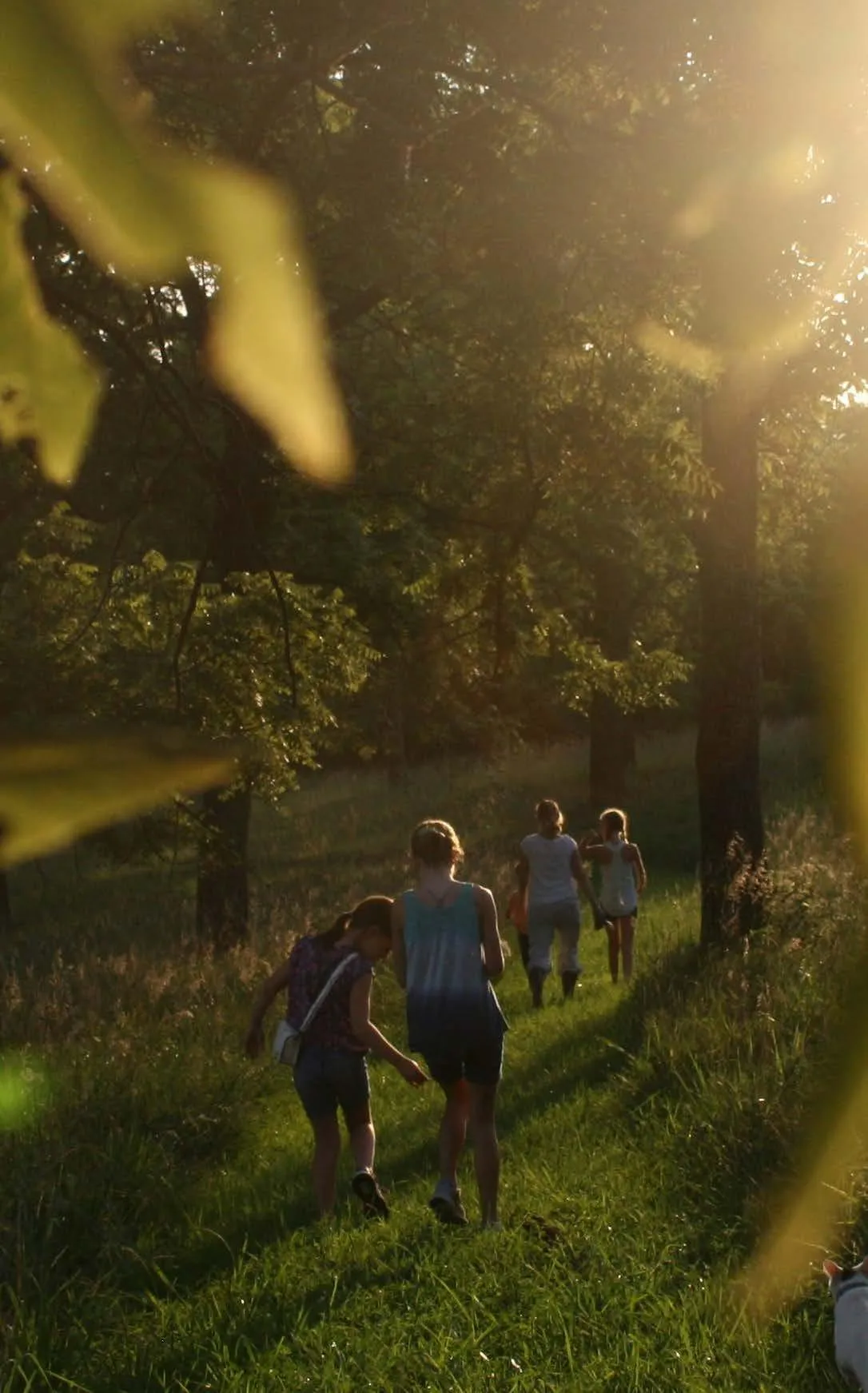Sakura Gardens - Image 15